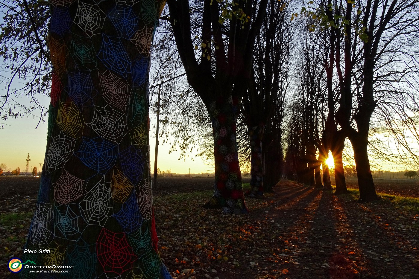 93 Il lungo viale alberato nella luce e nei colori del tramonto.JPG -                                